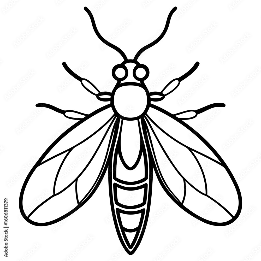Obraz premium Firefly line art vector