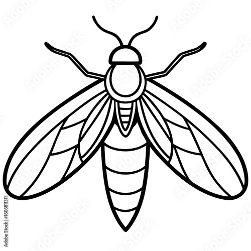Firefly line art vector