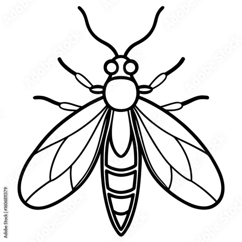 Firefly line art vector
