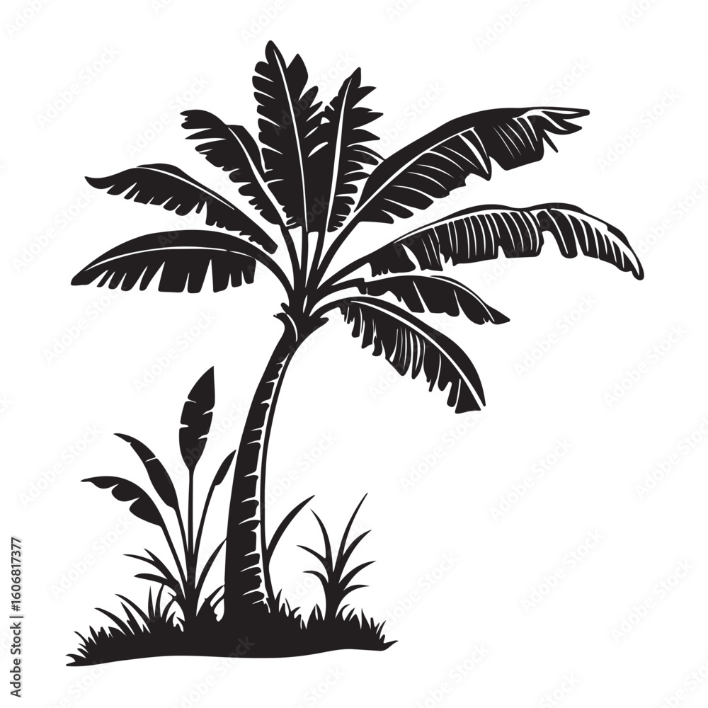 Obraz premium palm tree silhouette