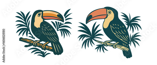 toucan bird on a tree branch