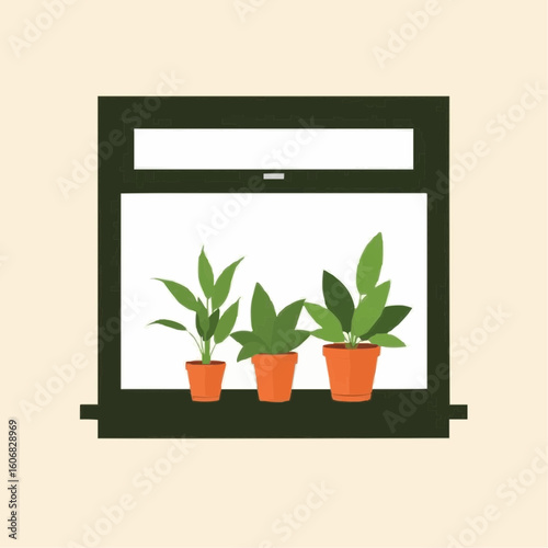 Indoor plants in orange pots placed on window sill with light background  