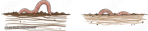 Cartoon illustration of worms emerging from soil and dirt  