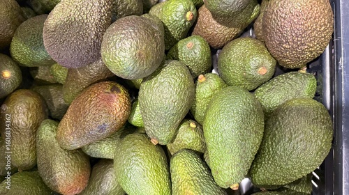 avocado on the store shelf
