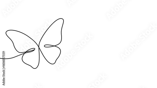 Animation of a single line drawing of a butterfly. Continuous contour movement of a butterfly. Continuous video with one line.