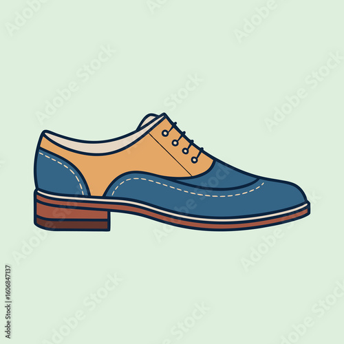 vector illustration of oxfords