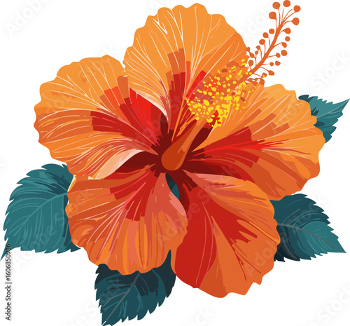 Vibrant Orange Hibiscus Flower Illustration.