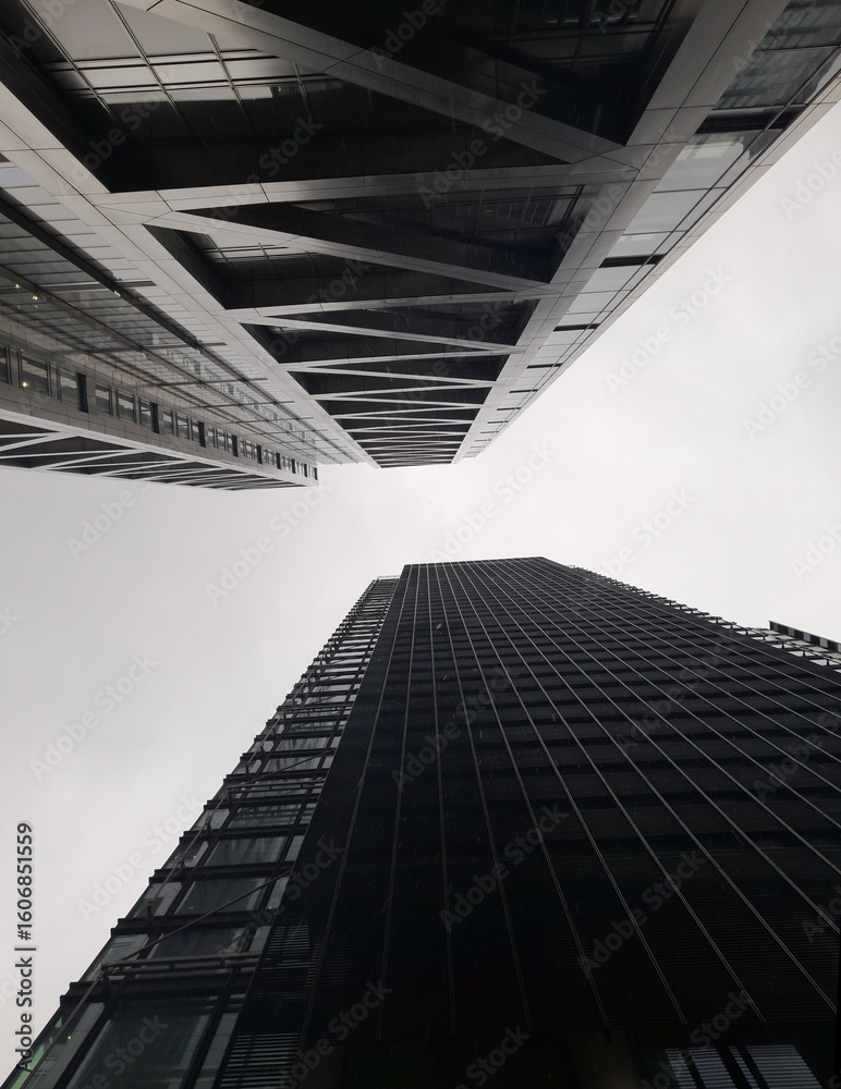 Fototapeta premium Looking up into the simple, dull, grey sky. Two dark, intricate skyscrapers growing tall into the sky. A brilliant picture: perfect for advertising. 