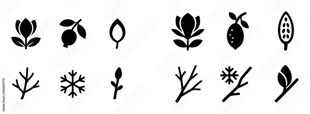 Fototapeta premium Magnolia Seasons Icons