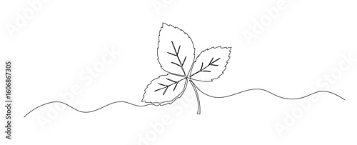 Leaves one line vector illustration. Hand drawn doodle continuous sketch isolated on white background