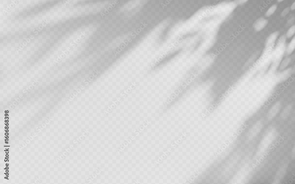 Obraz premium Abstract shadow overlay from tree branch on a transparent background.