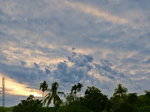 clouds over the forest