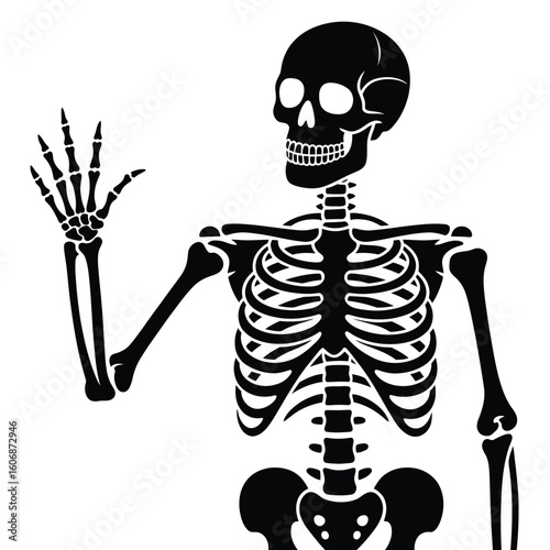 Friendly skeleton waving hello with a black and white illustration
