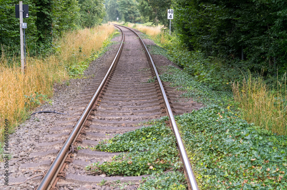 Obraz premium Railroad tracks disappearing into the woods with speed limit sign