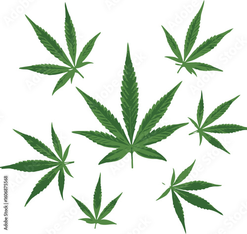 Marijuana Leaf Medley Fresh Green Cannabis Leaves on a White Background Perfect for Decoration and Artistic Projects