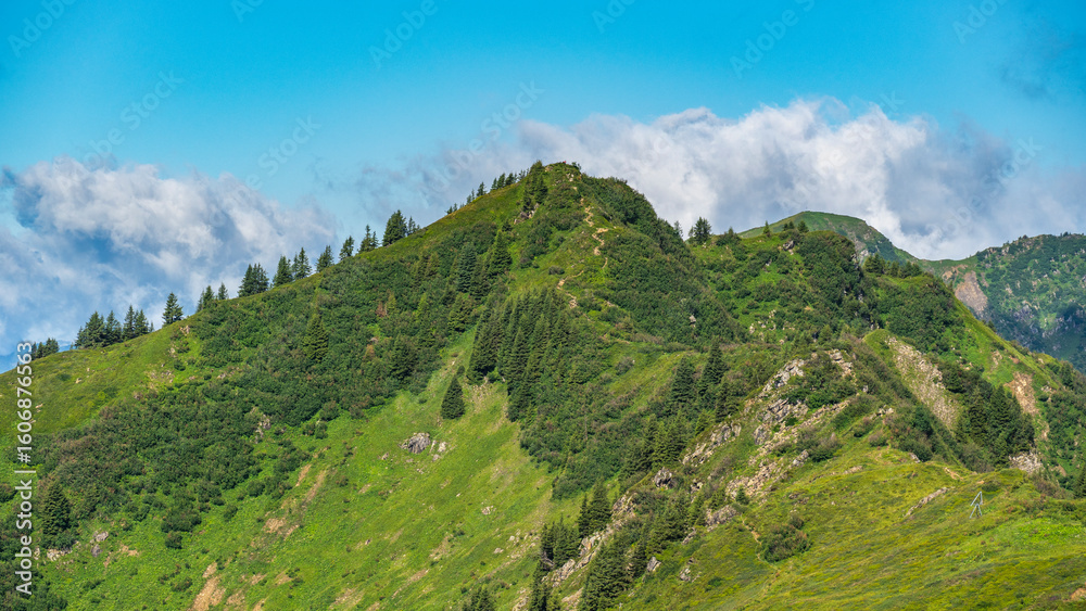 Naklejka premium panoramic view over steep mountains in Vorarlberg, stony and rocky mountain with alpine meadows, hikers path way through pasture, bushes and boulders over ridge up to the summit, holiday destination