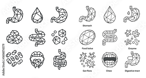 Digestive System Icons
