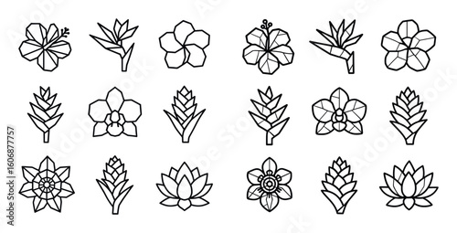 Tropical Flower Icons