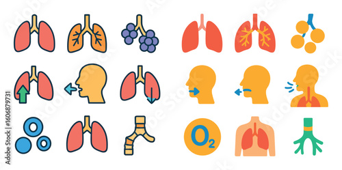 Lung Anatomy Icons