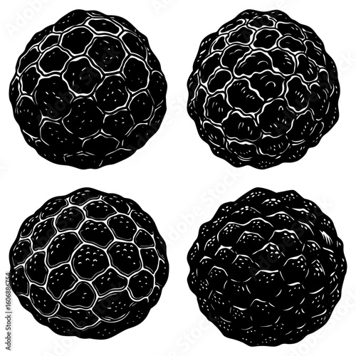 Four black truffle spheres with textured surface and irregular polygonal patterns in monochrome style art