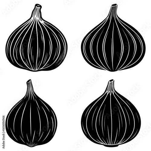 Four black and white figs arranged in a square pattern with detailed line work on a white background