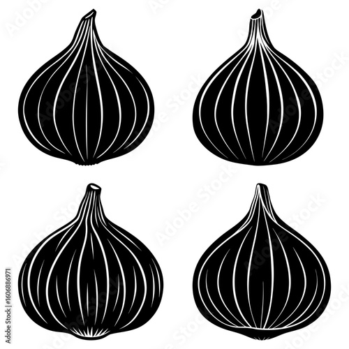 Four stylized black and white figs with detailed line work on a white background display illustration