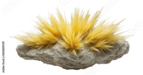 Sklodowskite specimen featuring pale yellow color and acicular crystals