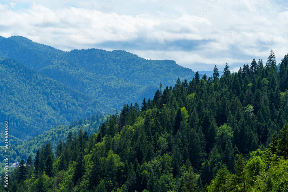 Fototapeta premium beautiful panoramic view of the Carpathian Mountains from height