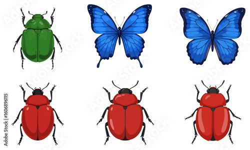 Collection of colorful butterflies and exotic beetles vector illustrations, isolated on white background, great for spring graphics, nature posters, kids’ books, and decorative insect-themed designs