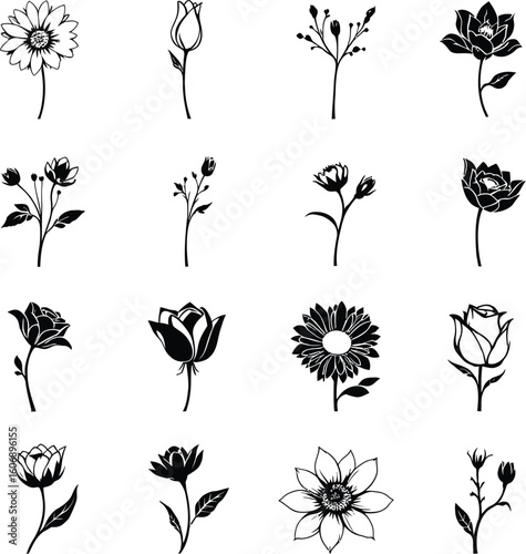 Collection of sixteen black and white floral illustrations on a white background in a square format