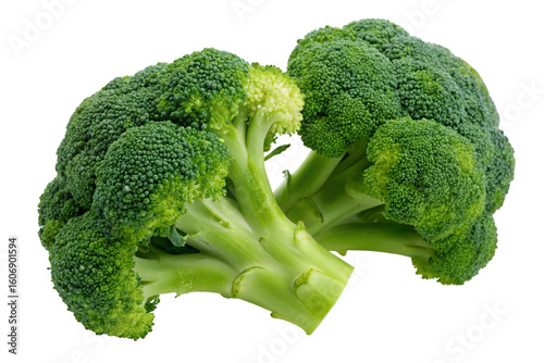 Close up shot of fresh green broccoli florets on an isolated white background for healthy cuisine
