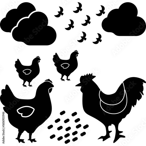Chicken Feeding Scene
