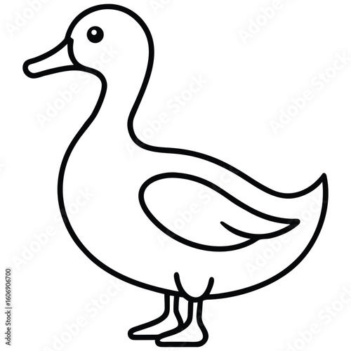 Simple Line Drawing of a Duck