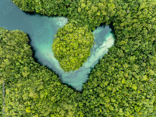 Aerial view of a lush green island embraced by turquoise waters, a vibrant jewel amidst the dense foliage, Siargao Island, Caraga, Philippines.