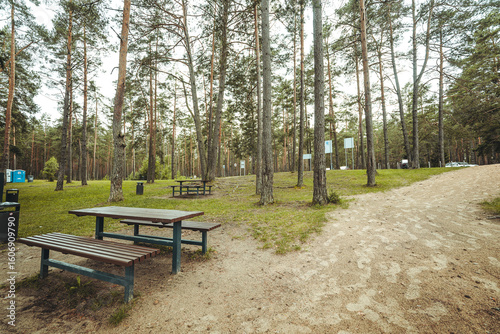 Nature resort photos of beautiful natural landscape - forest - woods, sand.