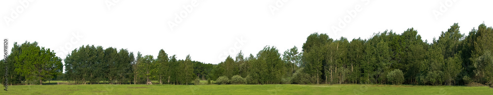 Green mossy log background Green mossy log background