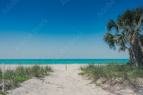 Fototapeta Naklejka Na Ścianę i Meble -  anna maria island and bradenton beach florida scenery in summer