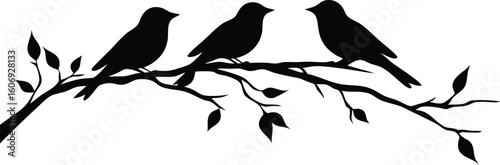 Silhouette of Three Birds Perched on a Branch with Leaves on White