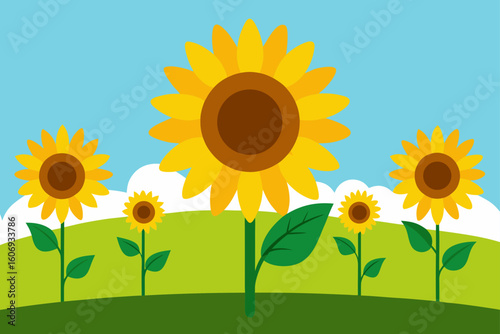 sunflower on a field