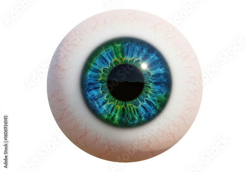 Isolated Detailed Human Eye Iris with Blue and Green Hues