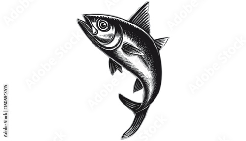 Commercial fish species. tuna fish. Vector illustration cartoon flat icon isolated on white.