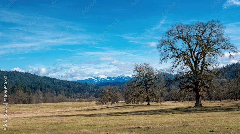 Wide shot of a meadow with trees, mountains, and a vibrant blue sky Wide shot of a meadow with trees, mountains, and a vibrant blue sky