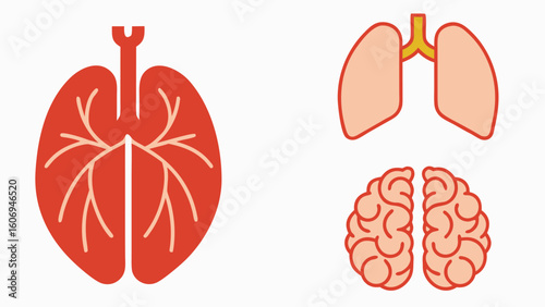 Different human organs Collection of human icons set for medical and health concepts