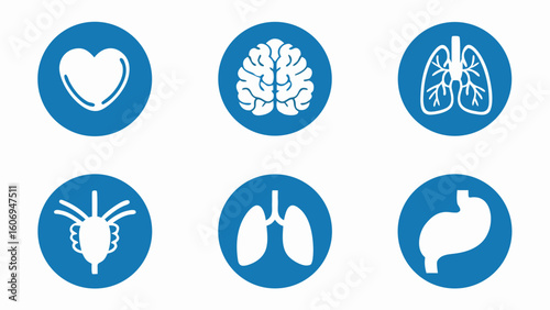 Different human organs Collection of human icons set for medical and health concepts