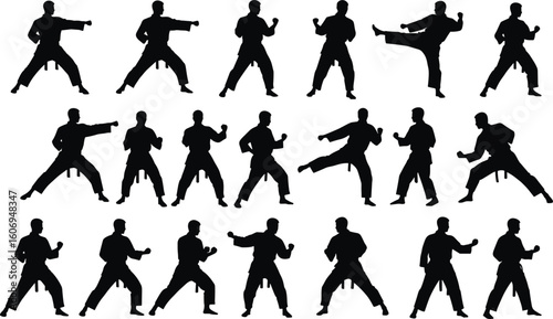 Martial Arts Silhouettes – Vector Icons of Karate Fighters in Action Poses, Kicks, and Defensive Stances for Design Projects