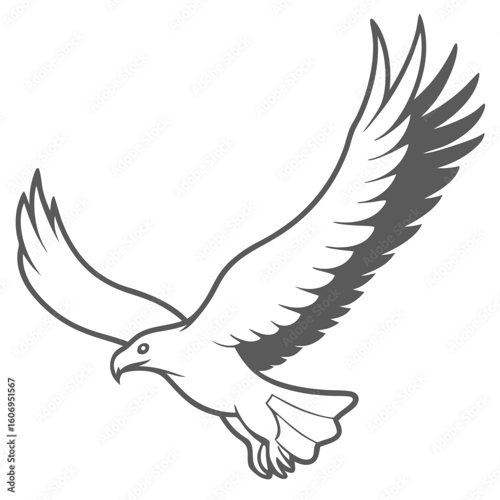 Fototapeta premium outline of an eagle flying bird
