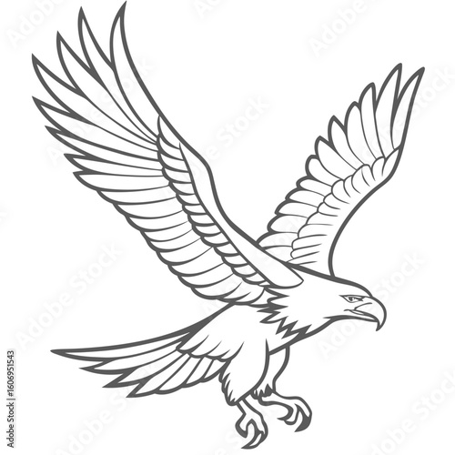 outline of an  eagle flying bird