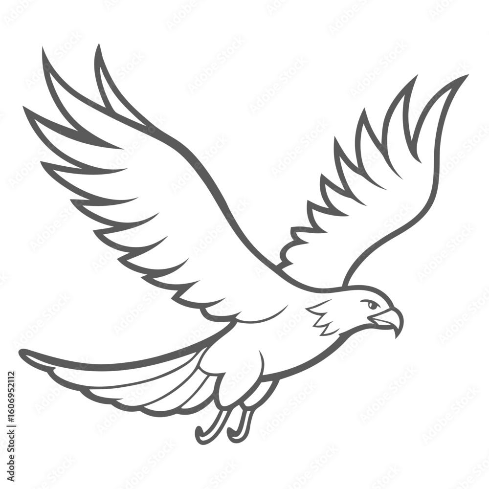 Fototapeta premium outline of an eagle flying bird