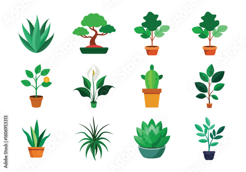 Collection of twelve potted plants:  aloe vera, bonsai, ficus, succulent, peace lily, and more; flat design, vibrant green.