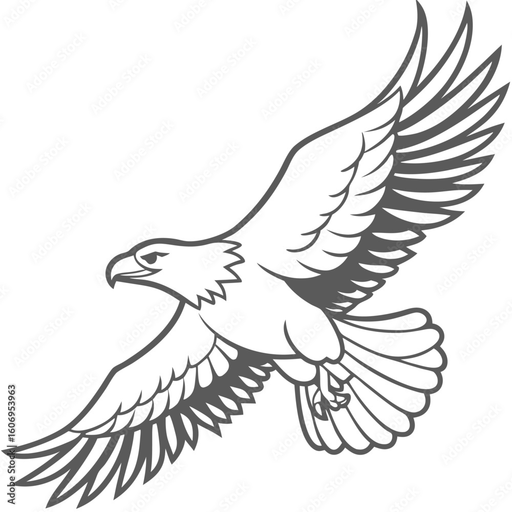 Obraz premium outline of an eagle flying bird